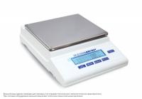 Весы ВЛТЭ-3100П-В (3100 г, d=0,05/0,02*, II высокий, внутренняя калибровка) с поверкой