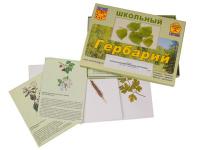 Гербарий Сельскохозяйственные растения (30 видов, с иллюстрациями)
